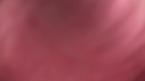 16401